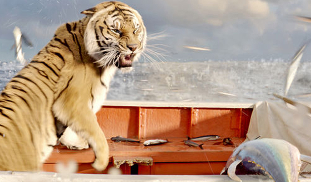 Life of Pi