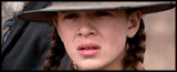 steinfeld.gif